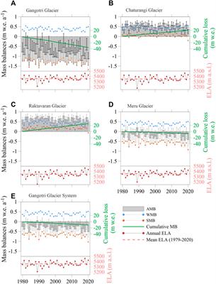Positive mass budgets of high-altitude and debris-covered fragmented tributary glaciers in Gangotri Glacier System, Himalaya